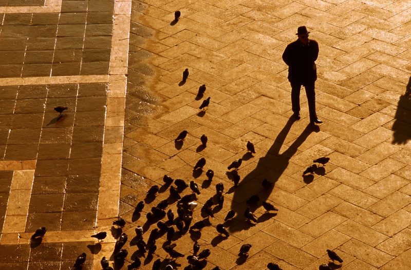 Man & Pigeons in San Marco