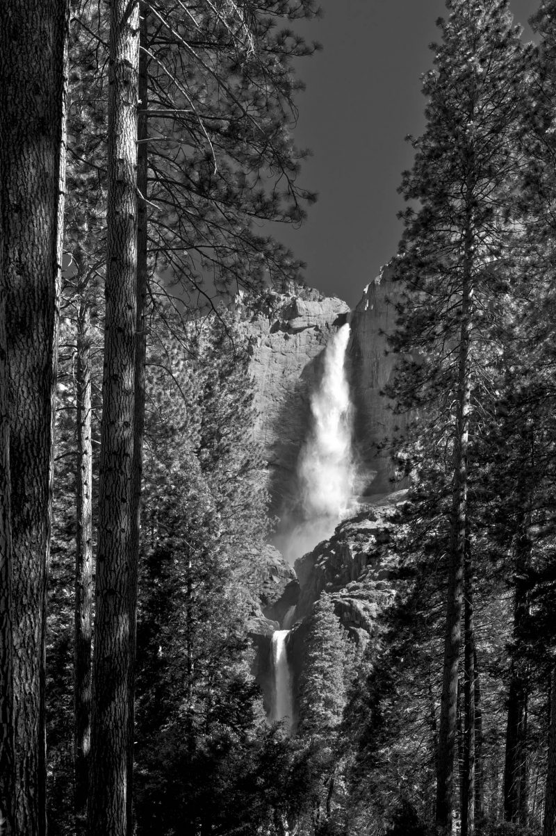 Yosemite Falls and Forest